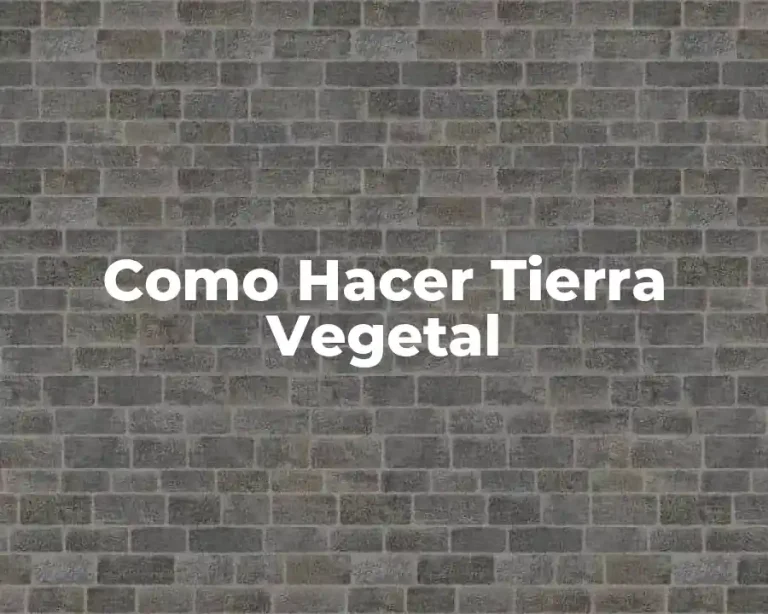 Como Hacer Tierra Vegetal