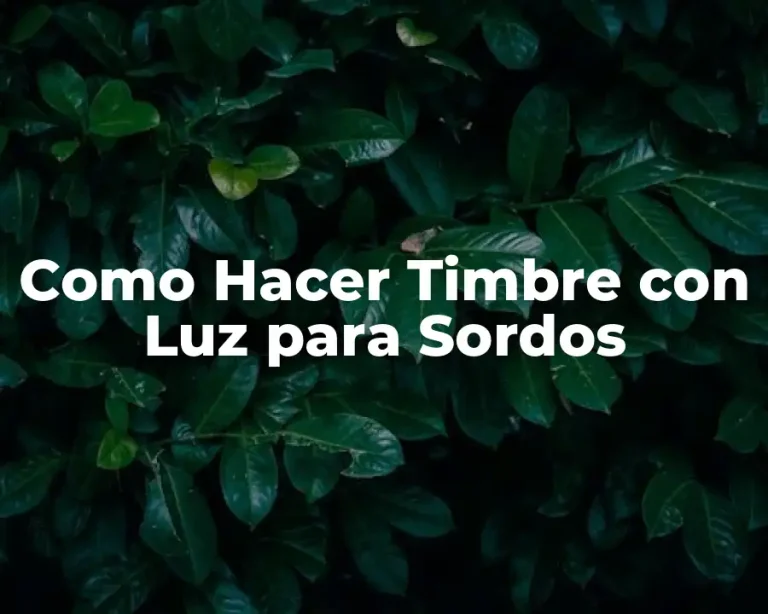 Como Hacer Timbre con Luz para Sordos