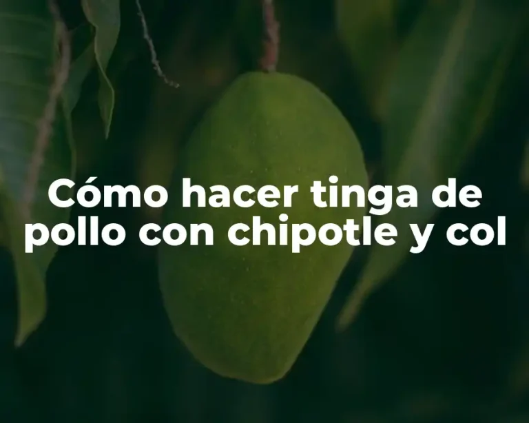 Cómo hacer tinga de pollo con chipotle y col