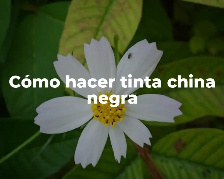 Cómo hacer tinta china negra