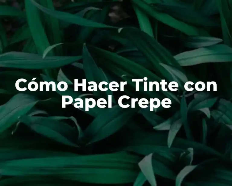 Cómo Hacer Tinte con Papel Crepe