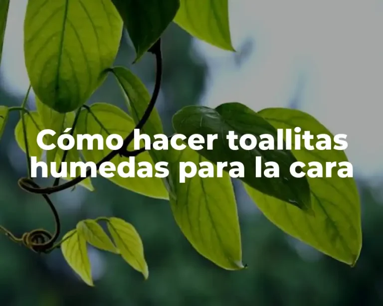 Cómo hacer toallitas humedas para la cara