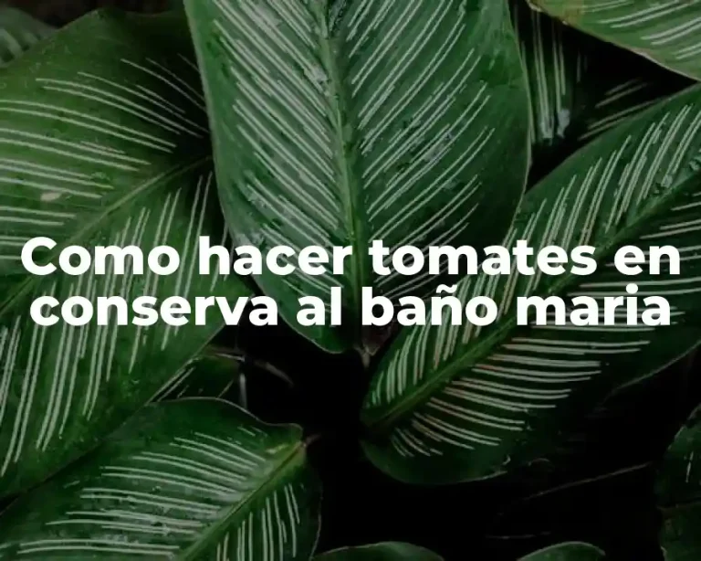 Como hacer tomates en conserva al baño maria