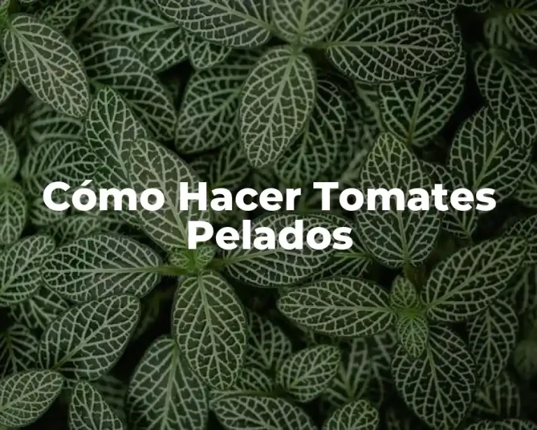 Cómo Hacer Tomates Pelados
