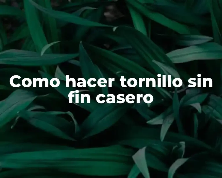 Como hacer tornillo sin fin casero