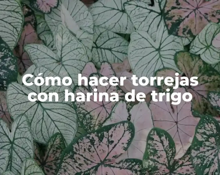 Cómo hacer torrejas con harina de trigo