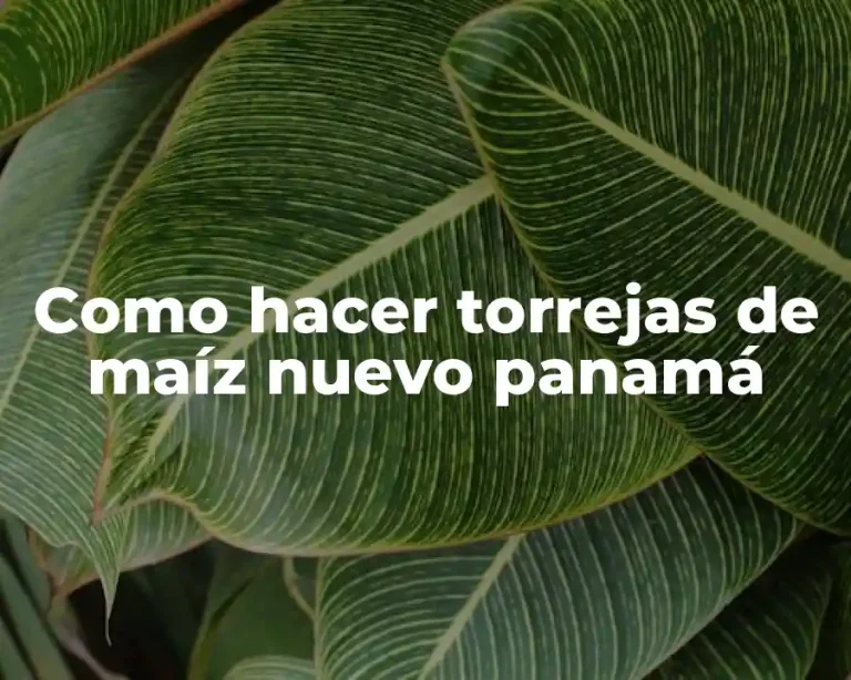 Como hacer torrejas de maíz nuevo panamá