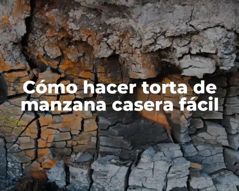 Cómo hacer torta de manzana casera fácil