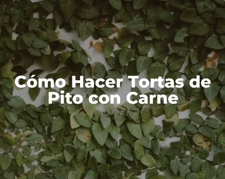 Cómo Hacer Tortas de Pito con Carne