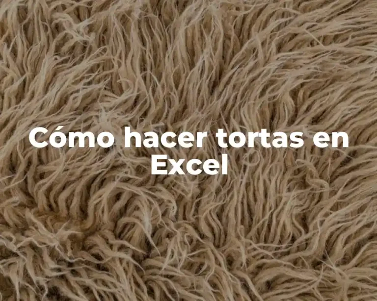 Cómo hacer tortas en Excel