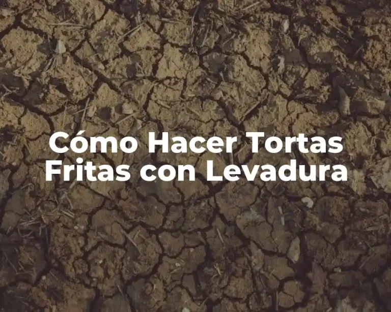 Cómo Hacer Tortas Fritas con Levadura