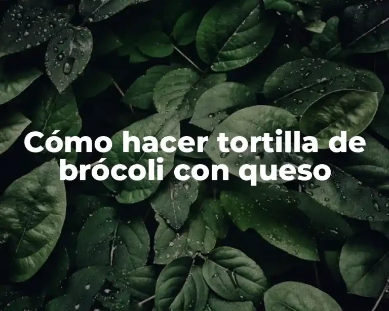Cómo hacer tortilla de brócoli con queso