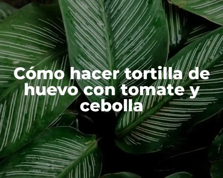 Cómo hacer tortilla de huevo con tomate y cebolla