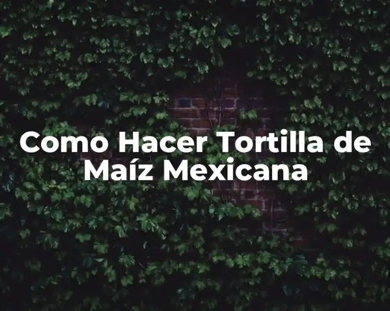 Como Hacer Tortilla de Maíz Mexicana