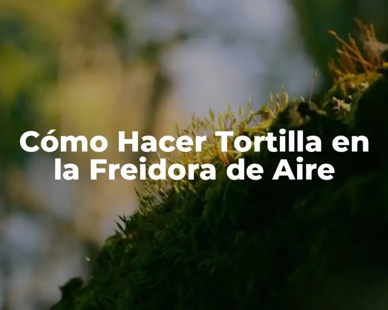 Cómo Hacer Tortilla en la Freidora de Aire
