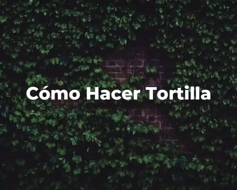 Cómo Hacer Tortilla