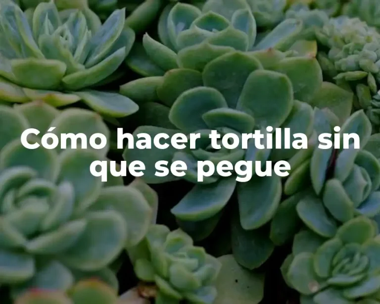 Cómo hacer tortilla sin que se pegue