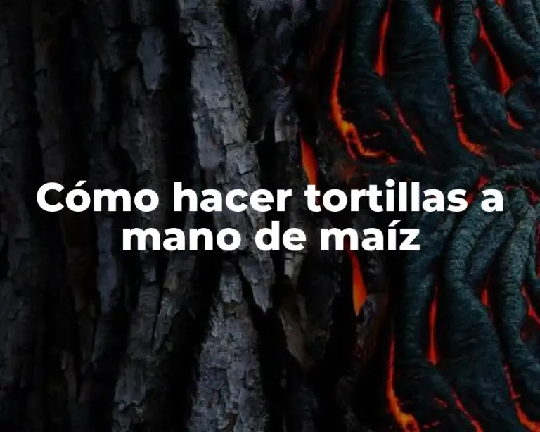 Cómo hacer tortillas a mano de maíz
