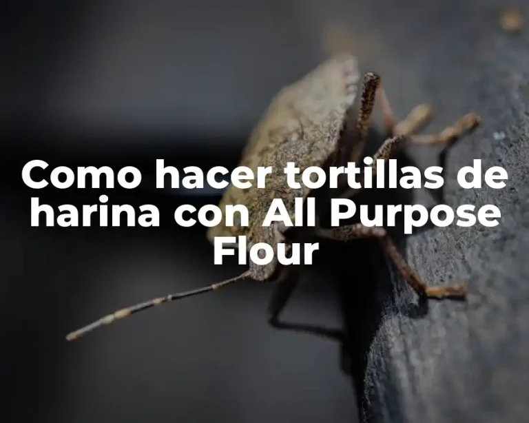 Como hacer tortillas de harina con All Purpose Flour