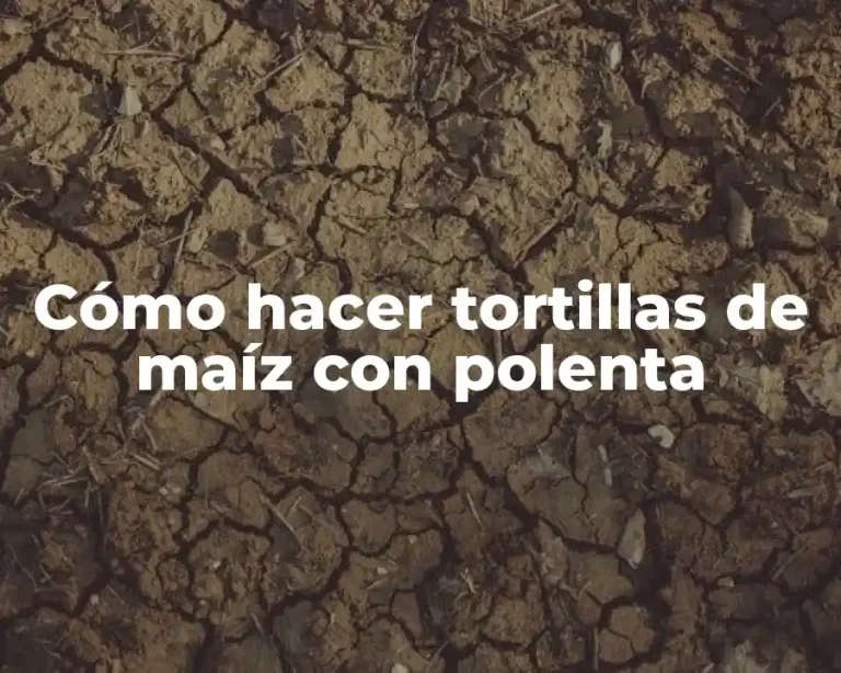 Cómo hacer tortillas de maíz con polenta