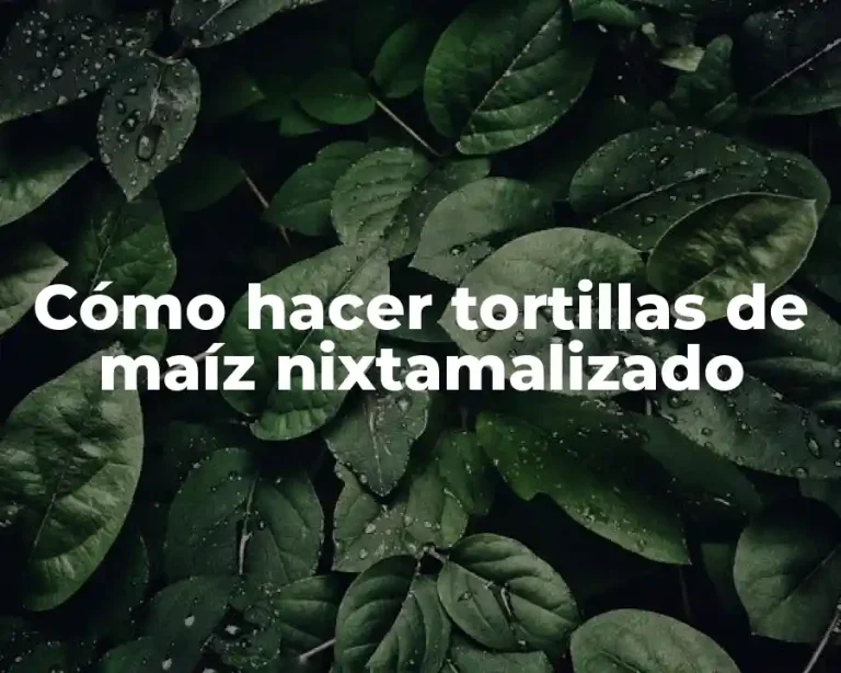 Cómo hacer tortillas de maíz nixtamalizado
