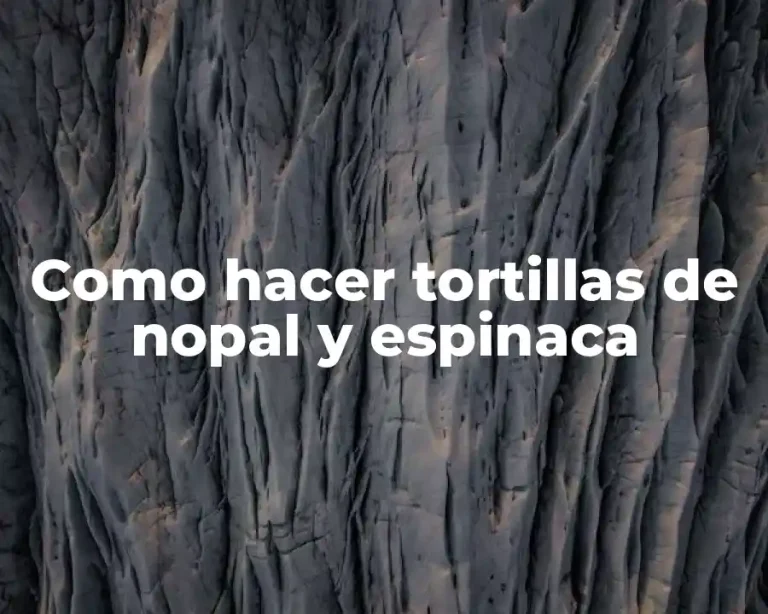 Como hacer tortillas de nopal y espinaca