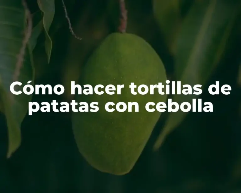 Cómo hacer tortillas de patatas con cebolla