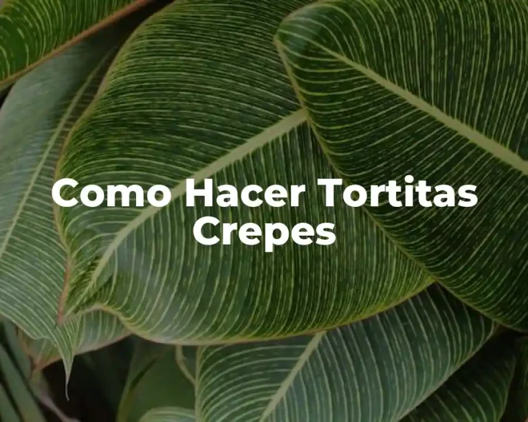 Como Hacer Tortitas Crepes