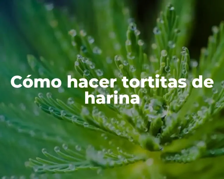 Cómo hacer tortitas de harina