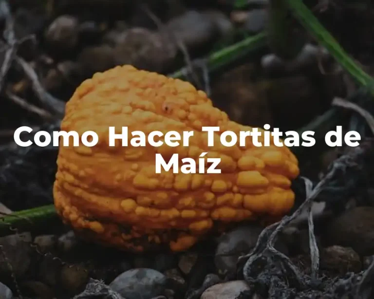 Como Hacer Tortitas de Maíz