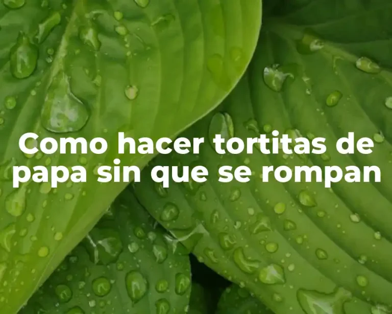 Como hacer tortitas de papa sin que se rompan