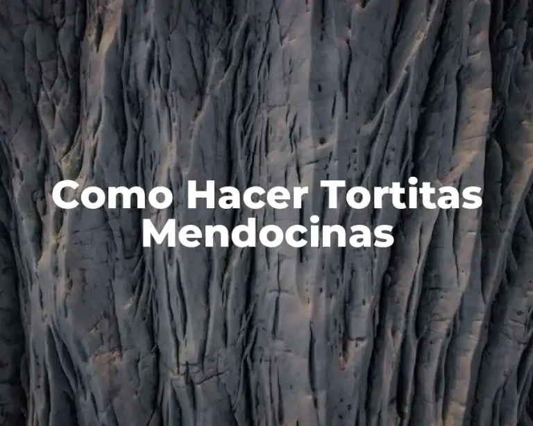 Como Hacer Tortitas Mendocinas