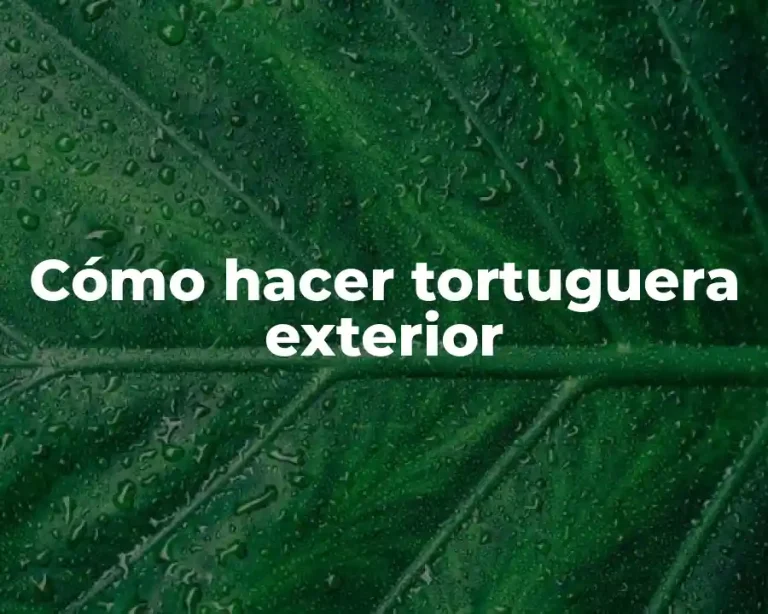 Cómo hacer tortuguera exterior