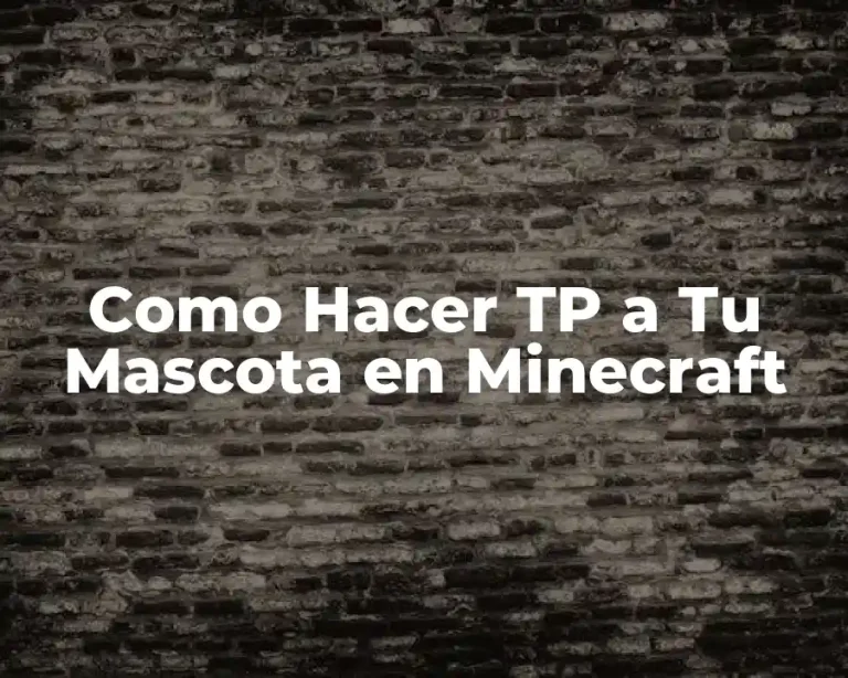 Como Hacer TP a Tu Mascota en Minecraft