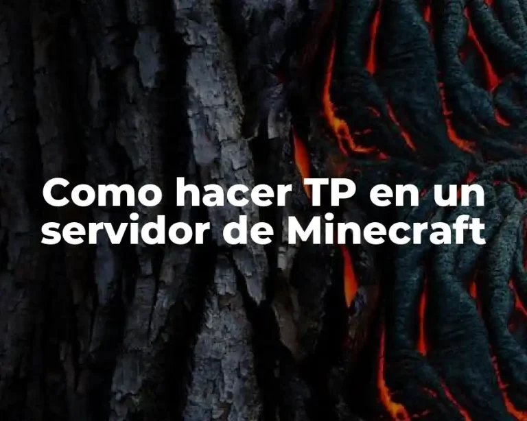 Como hacer TP en un servidor de Minecraft