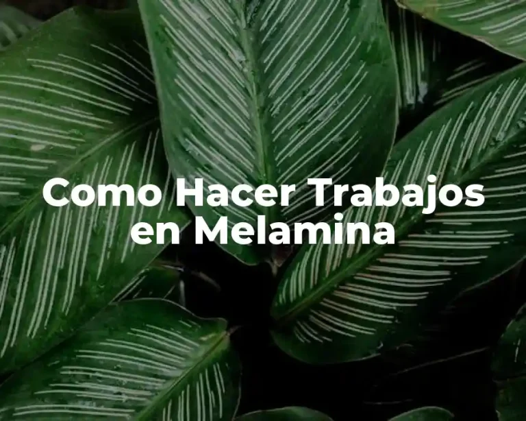 Como Hacer Trabajos en Melamina