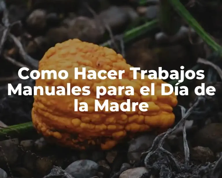 Como Hacer Trabajos Manuales para el Día de la Madre