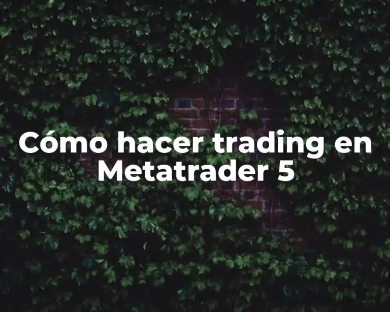 Cómo hacer trading en Metatrader 5