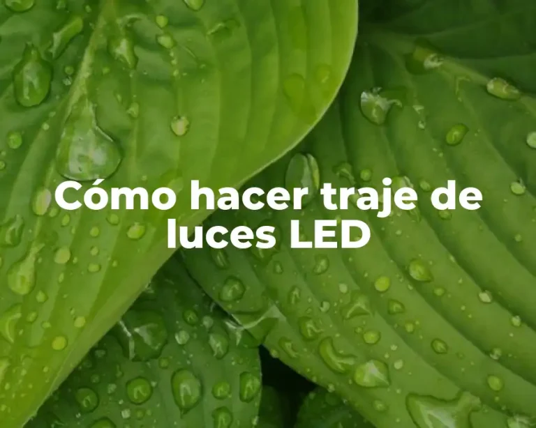Cómo hacer traje de luces LED