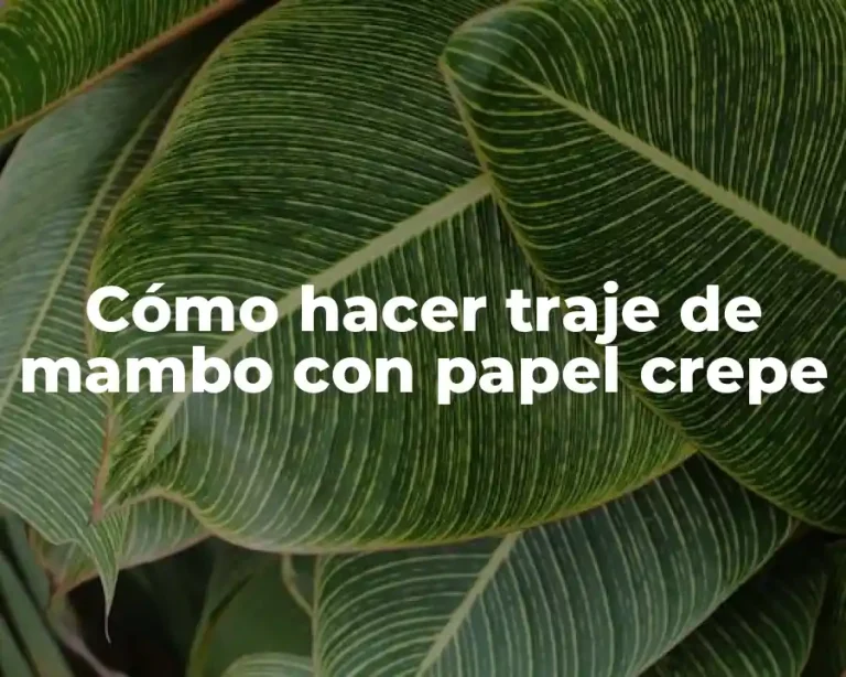 Cómo hacer traje de mambo con papel crepe
