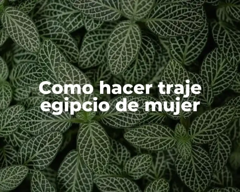 Como hacer traje egipcio de mujer