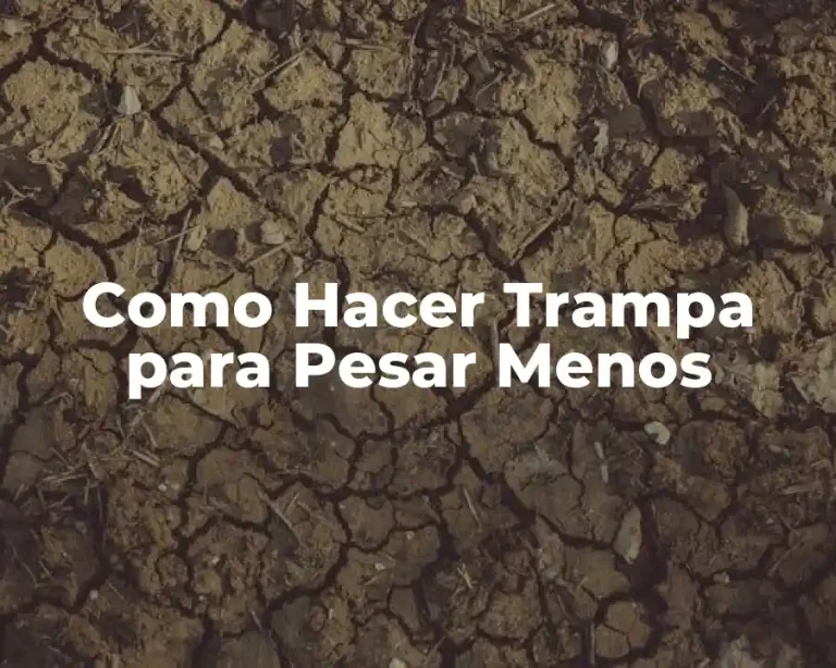 Como Hacer Trampa para Pesar Menos