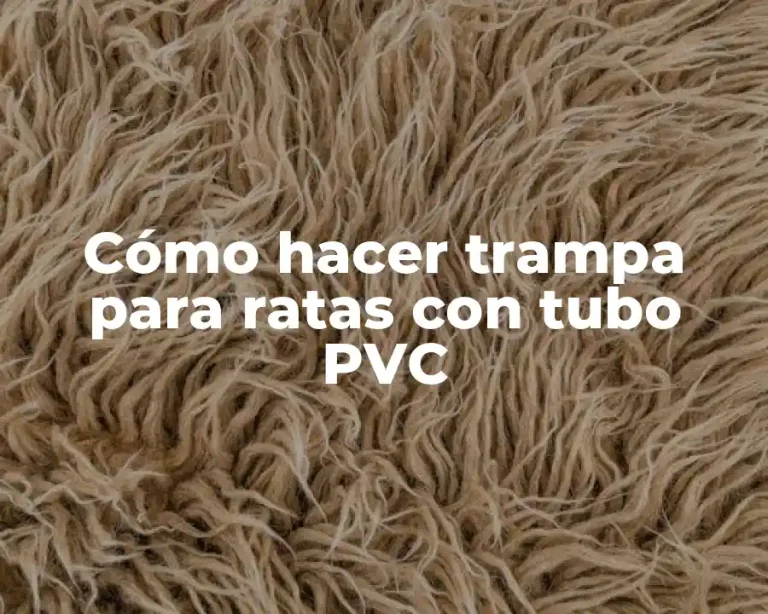 Cómo hacer trampa para ratas con tubo PVC