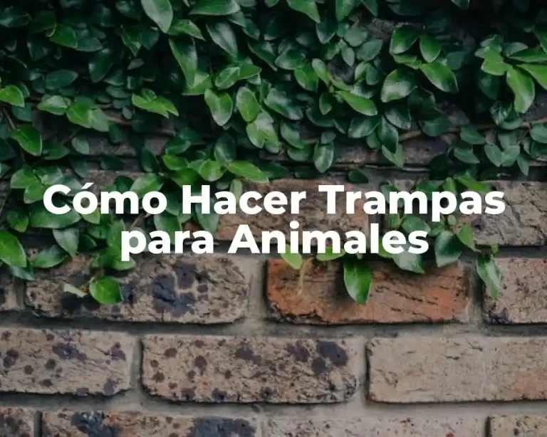 Cómo Hacer Trampas para Animales