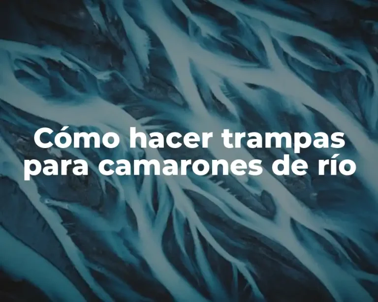 Cómo hacer trampas para camarones de río
