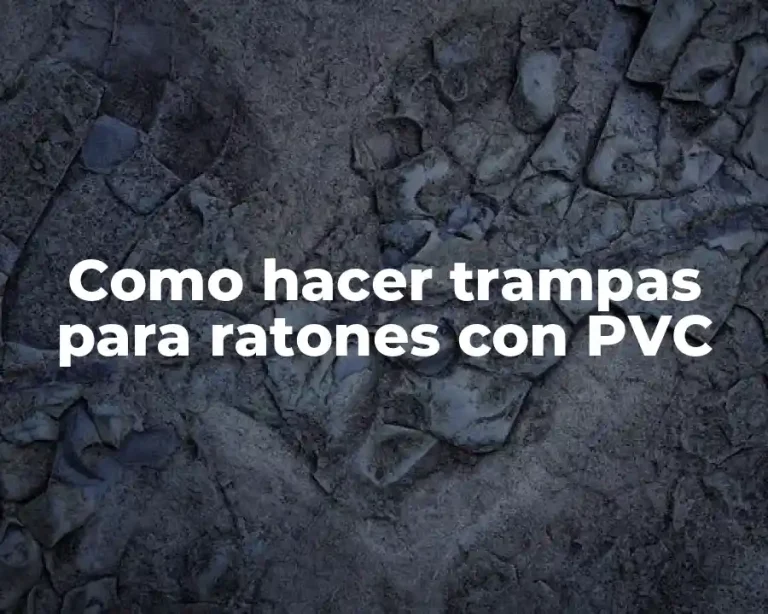 Como hacer trampas para ratones con PVC