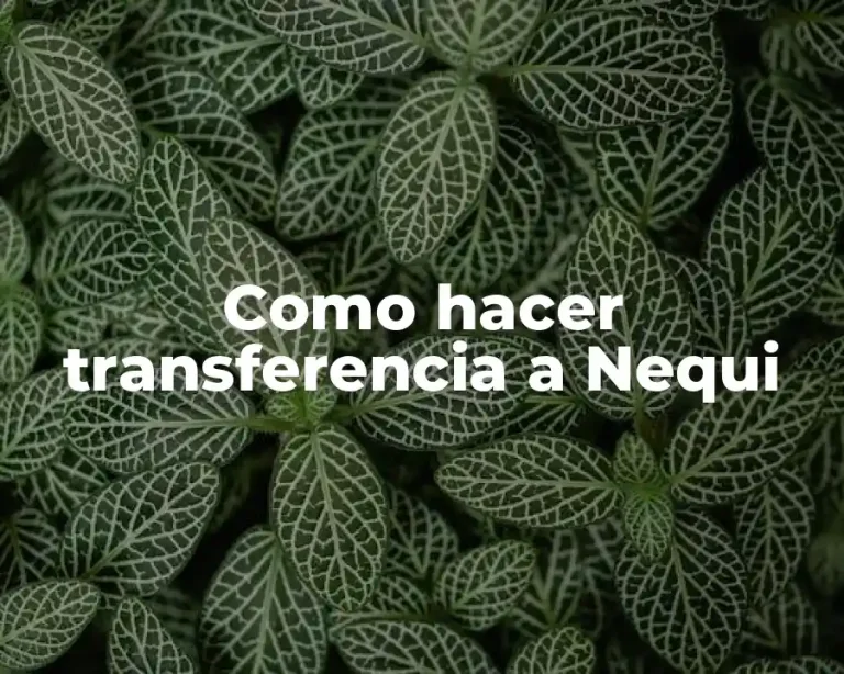 Como hacer transferencia a Nequi