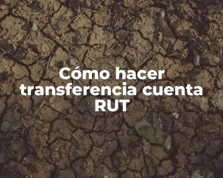 Cómo hacer transferencia cuenta RUT