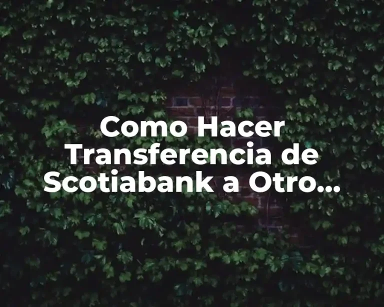 Como Hacer Transferencia de Scotiabank a Otro Banco