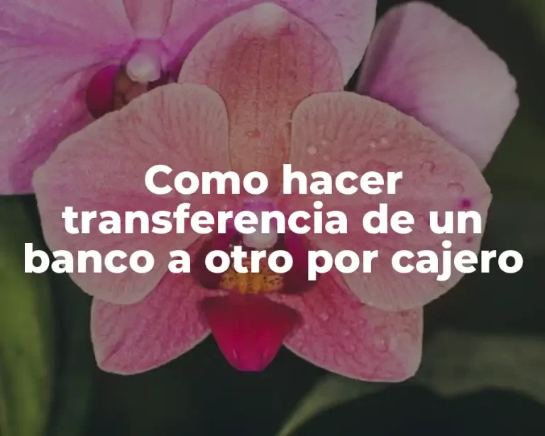 Como hacer transferencia de un banco a otro por cajero